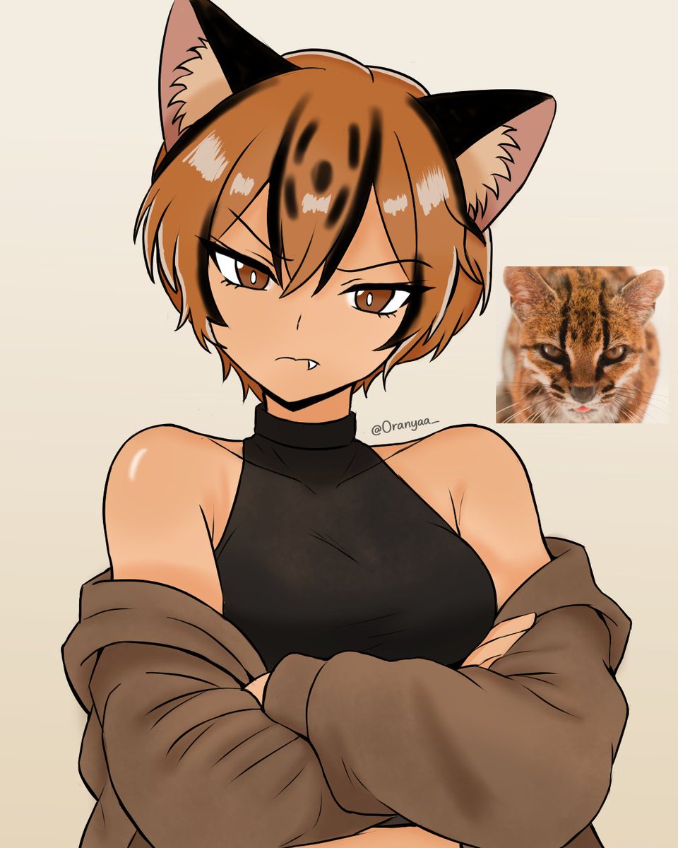 Oranyaa_'s tweet photo. New cat species has been discovered. You what that means:

New catgirl! https://t.co/eFvRNoNQL1
