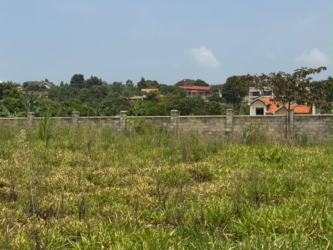 CEO_WinWin's tweet photo. ENTEBBE LAKE-VIEW PLOTS: Amazing plots – 5 of them measuring 100x100 each with a lake-view in KAWUKU-BWERENGA on sale at UGX 150M each. Each has a ready land title. Contact #MrWinWinBake CEO Win-Win Properties on 0757256237. https://t.co/15C1N0Oq1M