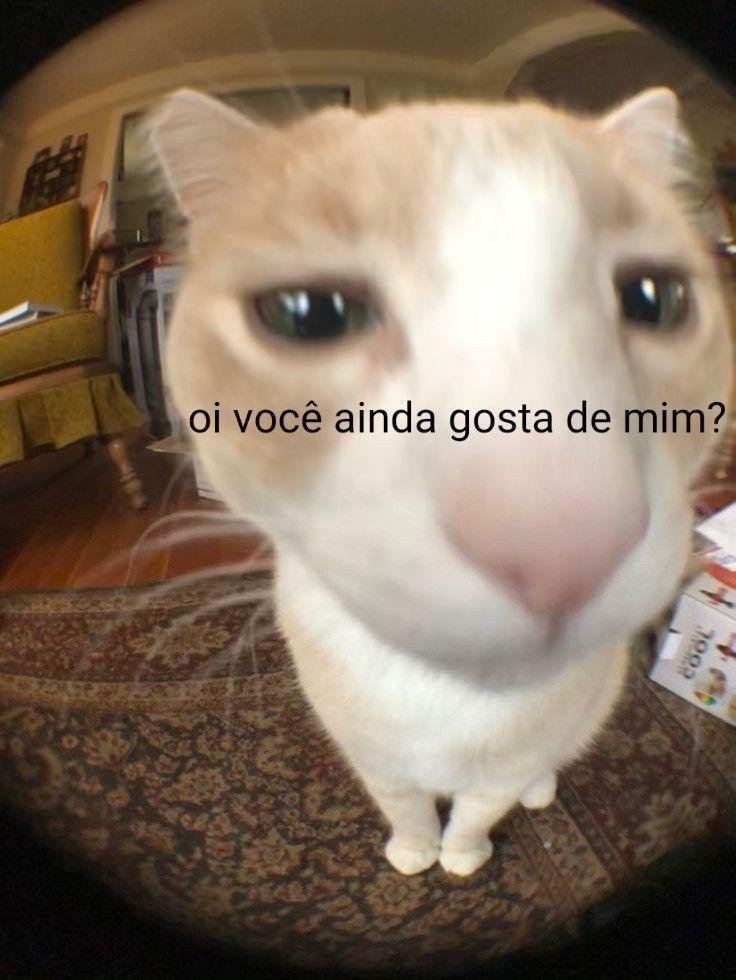 acervobichinho's tweet photo. https://t.co/oU8iODAy5H