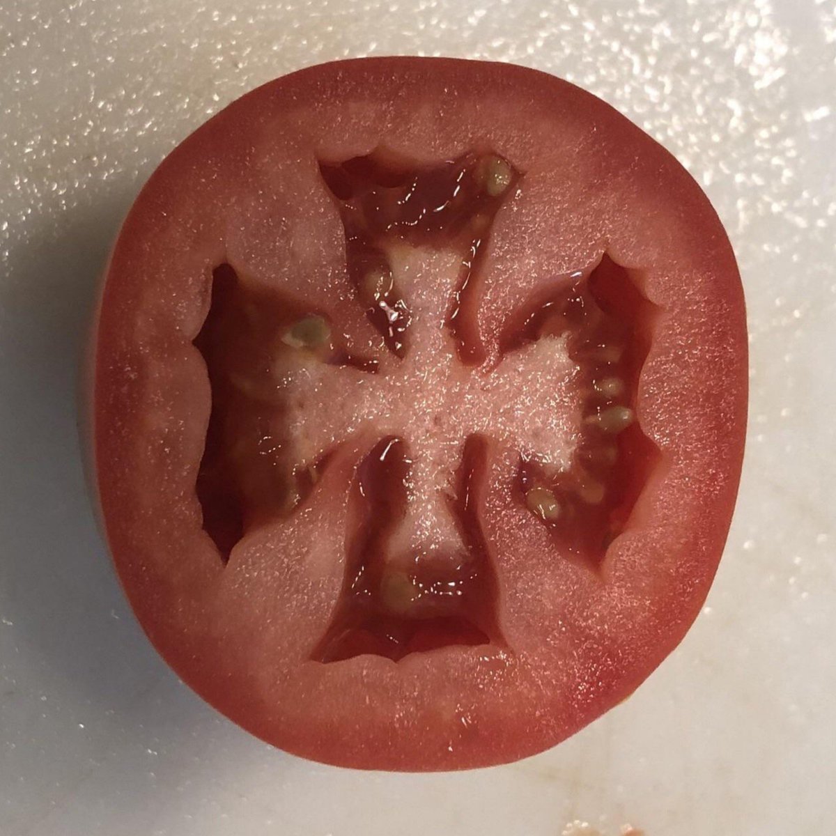 trad_west_'s tweet photo. Tomatos support the Crusades btw ✝️ https://t.co/RcVIVXCMKu