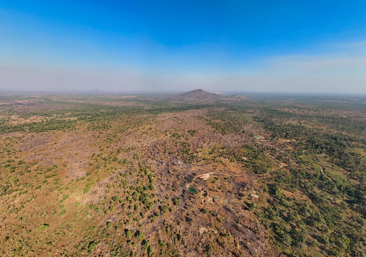 fortunamining's tweet photo. ICYMI: Fortuna recently acquired the 190 km² Bambadji gold project in Senegal from @barrick_mining  & @IAMGOLD_Corp for $200M. The project directly borders Diamba Sud, consolidating ~60 km of prospective strike along the Senegal-Mali Shear Zone. 

An initial $8M, 51,000m drill program is set for 2026.