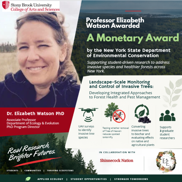 SBUEcoEvo's tweet photo. Congratulations to Professor Elizabeth Watson on receiving a monetary award from the New York State Department of Environmental Conservation!

The award will support student-driven research on monitoring and controlling invasive trees to promote healthier forests across NY. https://t.co/X8m3wnFkO1