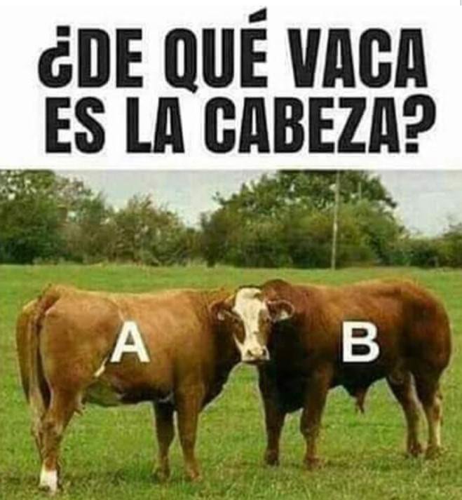 GenerationXEQ's tweet photo. Adivina adivinador... https://t.co/Pat3PNWgE7