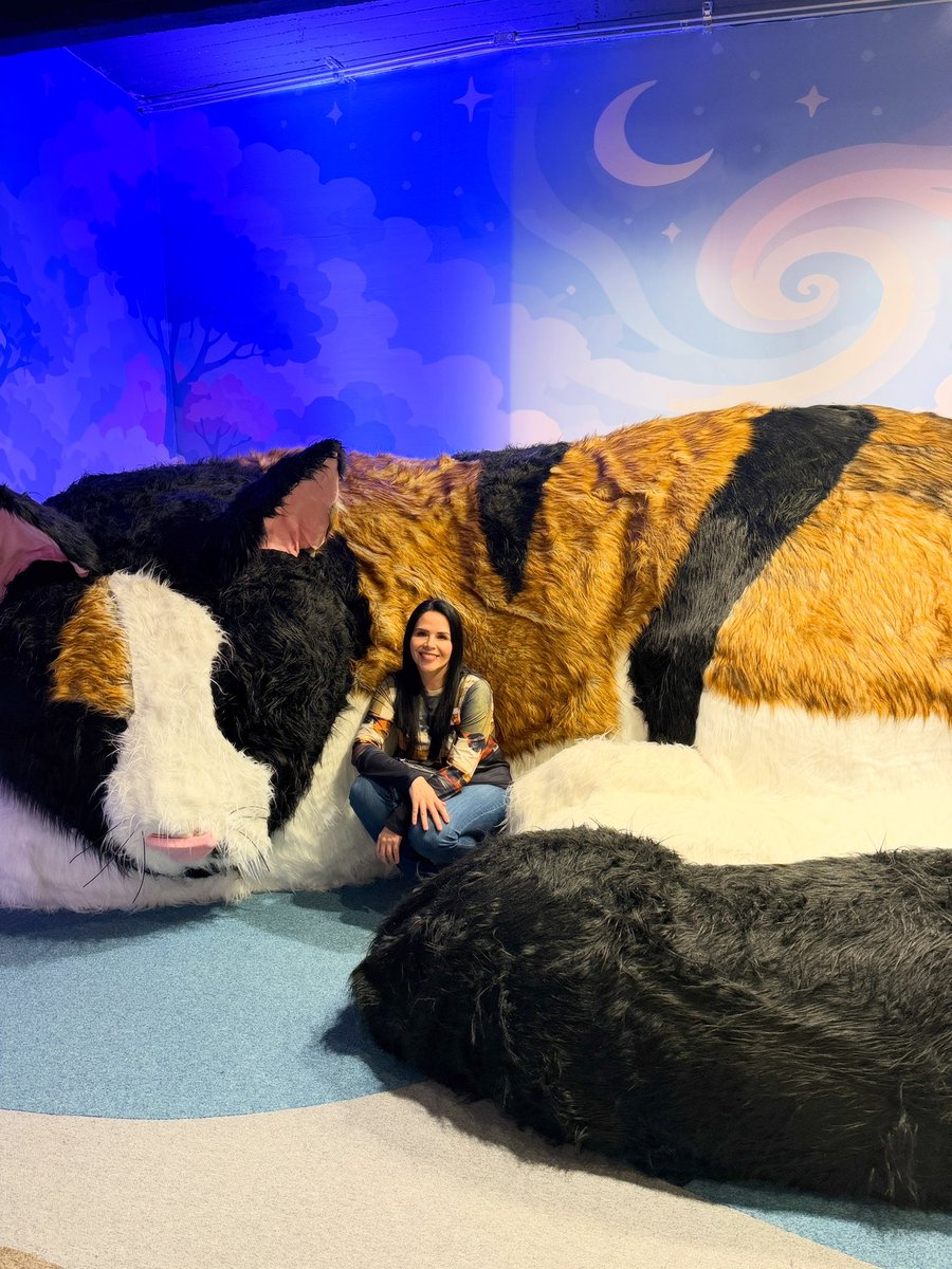 aixbren's tweet photo. Conocí el Museo del Gato en CDMX hace una semana. Un lugar que me parece un buen primer approach para tratar de concientizar y educar a las personas sobre la historia del gato, su evolución y sobre el cuidado y protección que necesitan pero definitivamente… https://t.co/Jihg0q4xRA