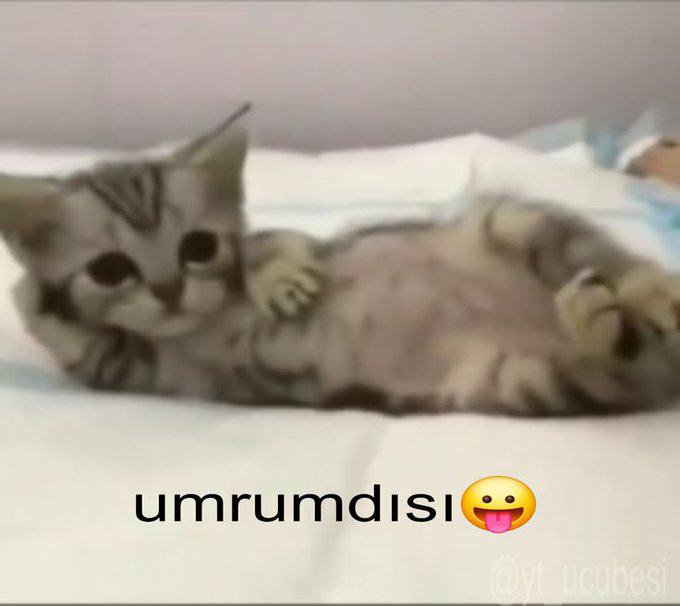 iamamelie4's tweet photo. @sevdagl7329811 https://t.co/z7ZNdpb0rZ
