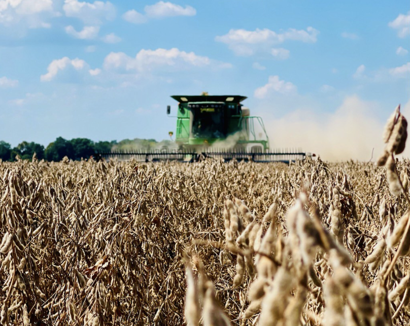 AginArk's tweet photo. The Sept @USDA_NASS Crop Production Report is forecasting record yields for corn and soybeans,  but will #arwx have the last word?

https://t.co/6EGEw7V7Zp https://t.co/riSjhwJs3H