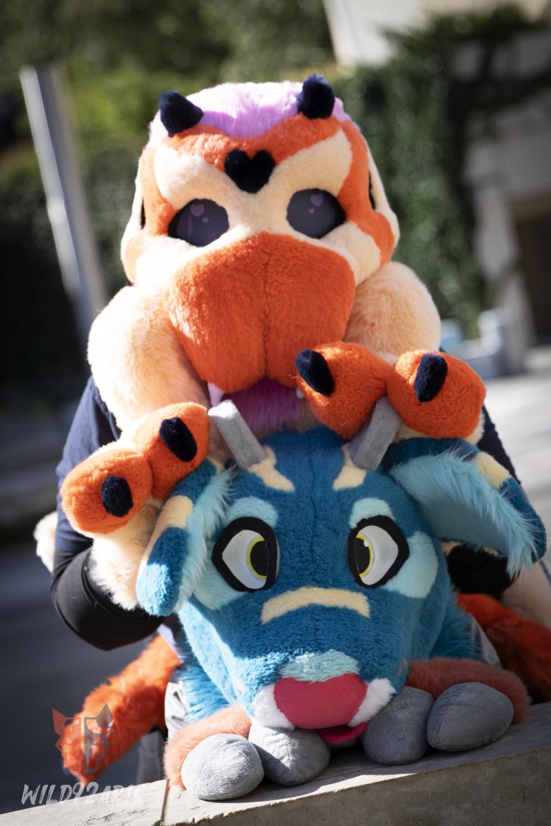 BluerBeau's tweet photo. Happy #FursuitFriday from my partner and I!

🪡: NewtsSuits, @RETR0R0VER 

📸@wild92aris https://t.co/d2bbVIfoPf