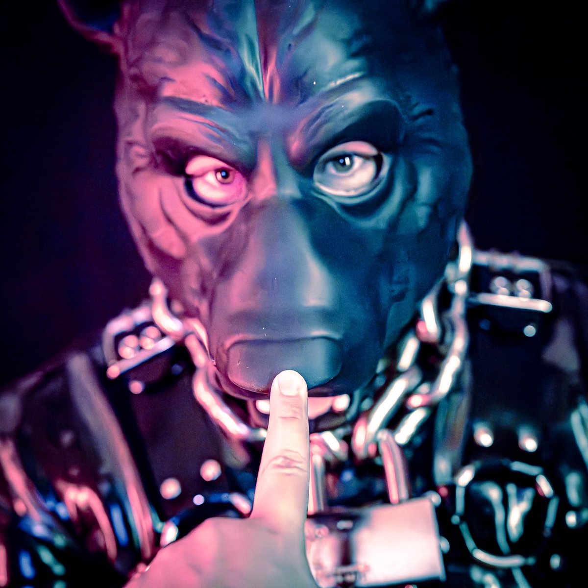 RTFM_Str's tweet photo. *boop*

image (and finger) by Pup Grizz (bsky) https://t.co/XwB78cdjyp