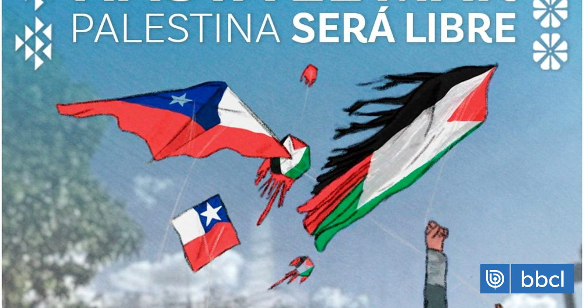 setorres1925's tweet photo. CHILE JUNTO A PALESTINA LIBRE!! https://t.co/weSrUsKKV4