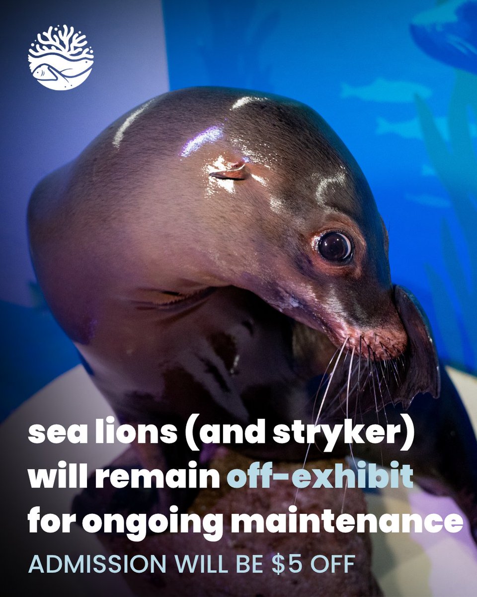AqNiagara's tweet photo. Some updates heading into the weekend, most notably that we will be CLOSING EARLY (3PM) on this Sunday, September 20th, for a private event.

Routine maintenance on our main pool is ongoing and sea lions remain off-exhibit. As such, admission is still $5 OFF.

Enjoy your weekend! https://t.co/iBUOf45oQQ