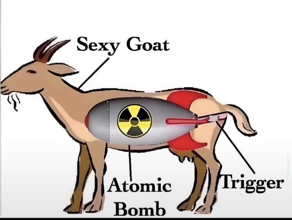 LynnShoopmanTn's tweet photo. @MrWhiplash_ How to stop the Muslims! https://t.co/rGu5pCjbmA