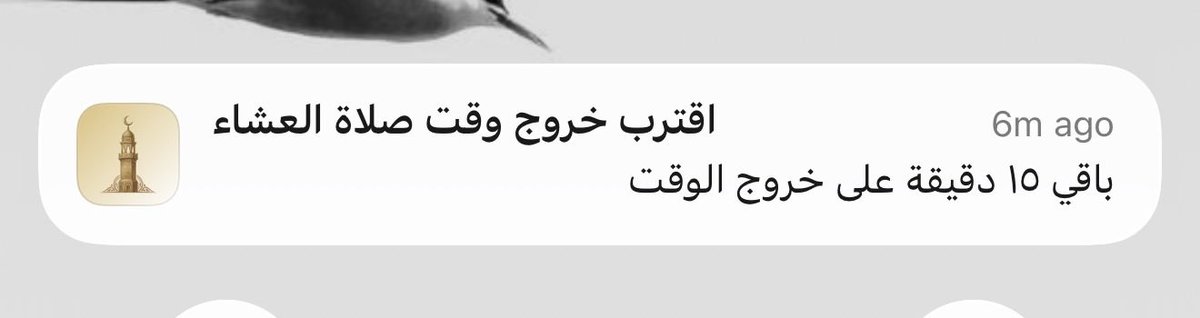 1neviil's tweet photo. ياخي رائع! https://t.co/HiHhxXYMjz