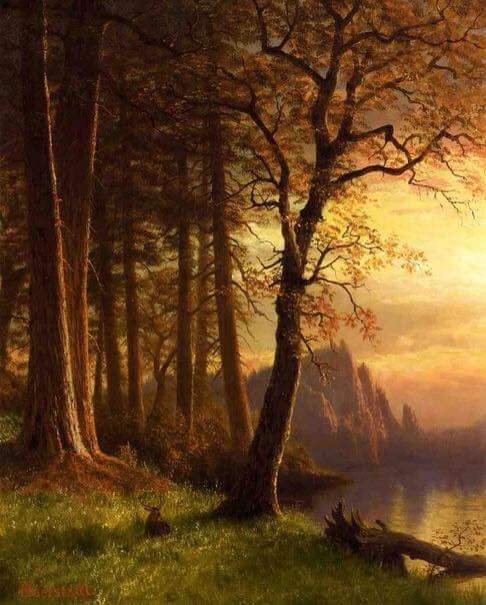 FreeExhibition's tweet photo. 🎨 Sunset in California , Yosemite ~1874

👨‍🎨 Albert Bierstadt (Jan 7, 1830 – Feb 18, 1902) was an American painter.

#HistoryofPainting https://t.co/VuclPXmcsZ