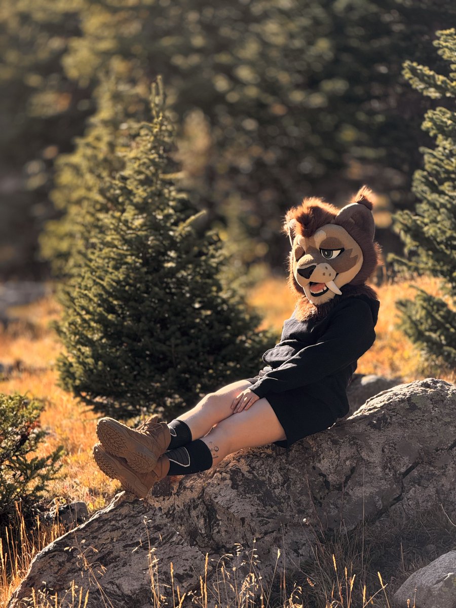 wildsabercat's tweet photo. Oh hey it’s #fursuitfriday 🌲🏕️ https://t.co/BAodXTCUmP