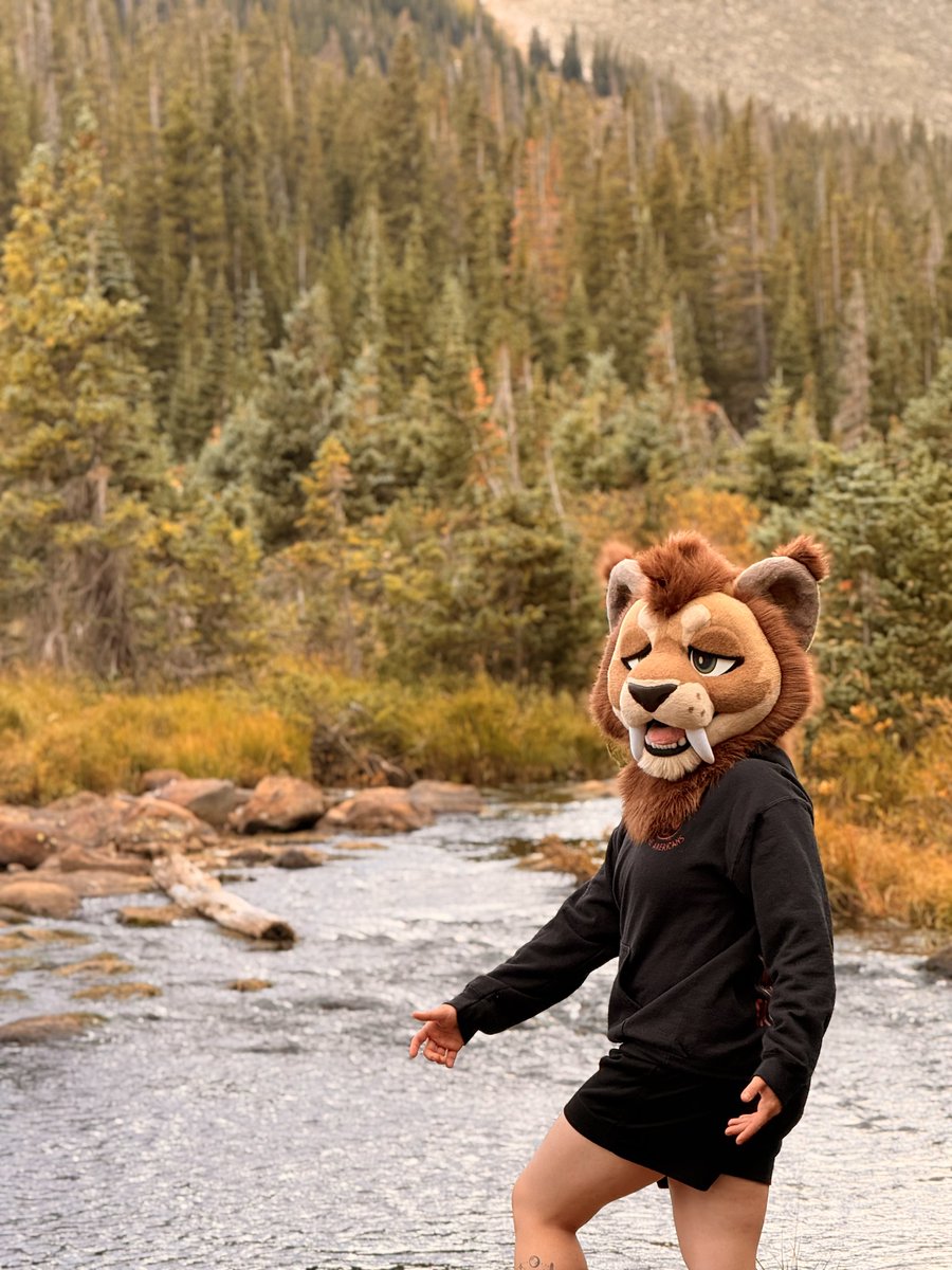 wildsabercat's tweet photo. Oh hey it’s #fursuitfriday 🌲🏕️ https://t.co/BAodXTCUmP