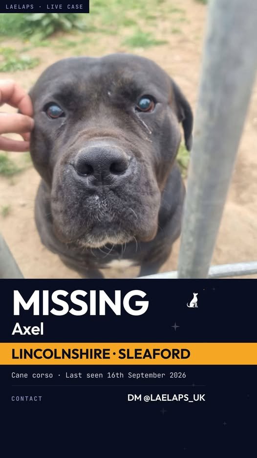 tiger26931's tweet photo. It is with a heavy heart we have to post this. But 40 dogs have gone missing from a rescue
 Nuts End Dog Rescue Kennels in Sleaford on 16th Sep 2026
If you see Axel or know anything, please DM @LAELAPS_UK
Any information on these dogs taken by 2 fraudulent women would be apprecia https://t.co/iSKECIVgGw