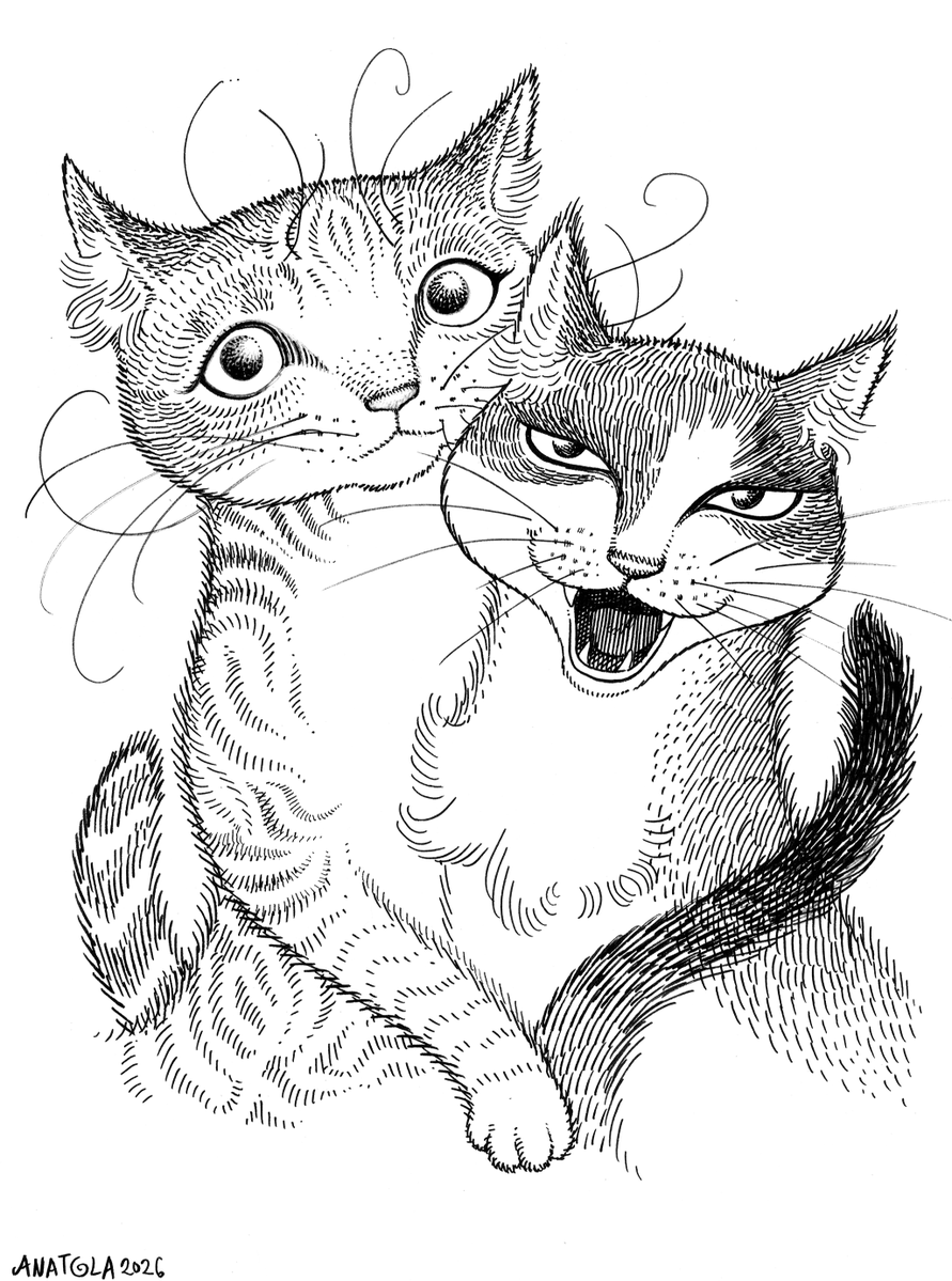 MAROONRACOON's tweet photo. Cat Commissions 😺I will accept a final round of these at my store before closing them at the end of the month. THREAD 1/3 https://t.co/OIIrbFpvr8