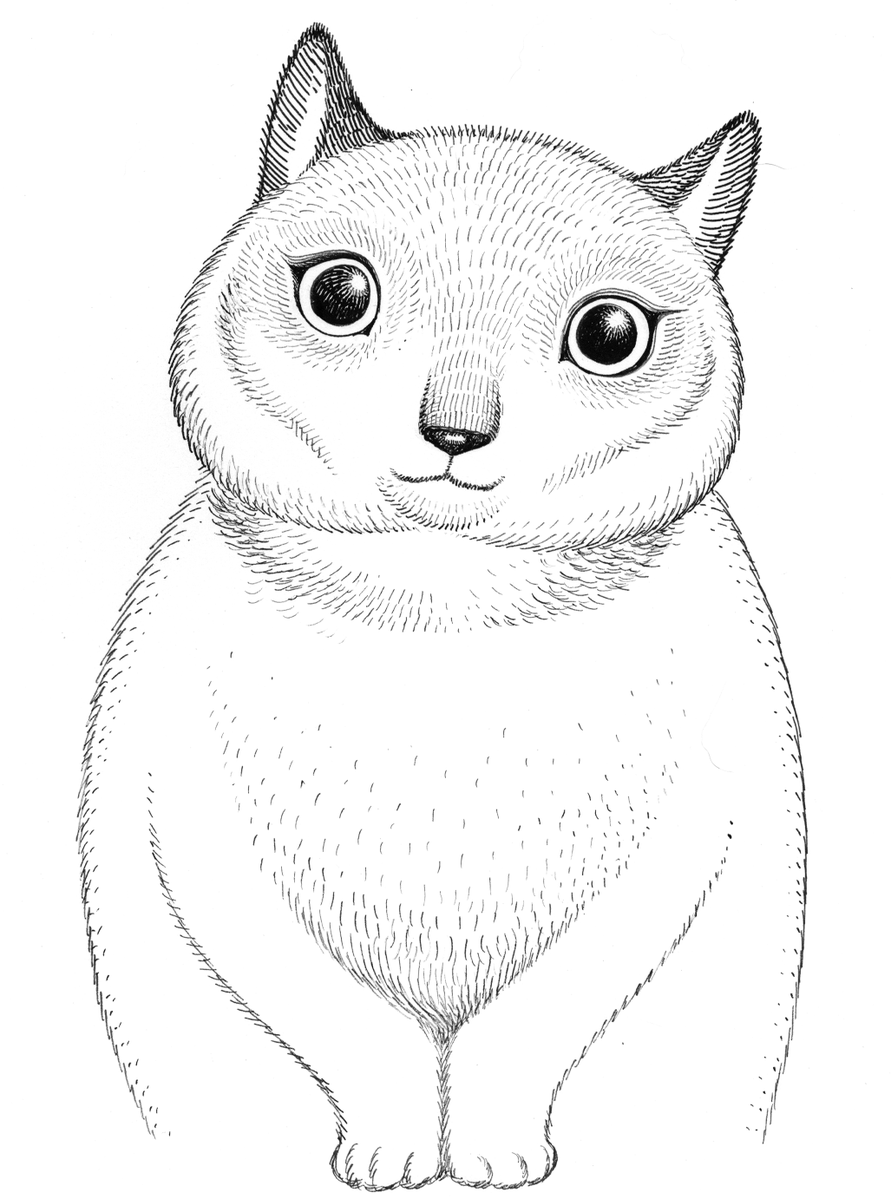 MAROONRACOON's tweet photo. Cat Commissions 😺I will accept a final round of these at my store before closing them at the end of the month. THREAD 1/3 https://t.co/OIIrbFpvr8