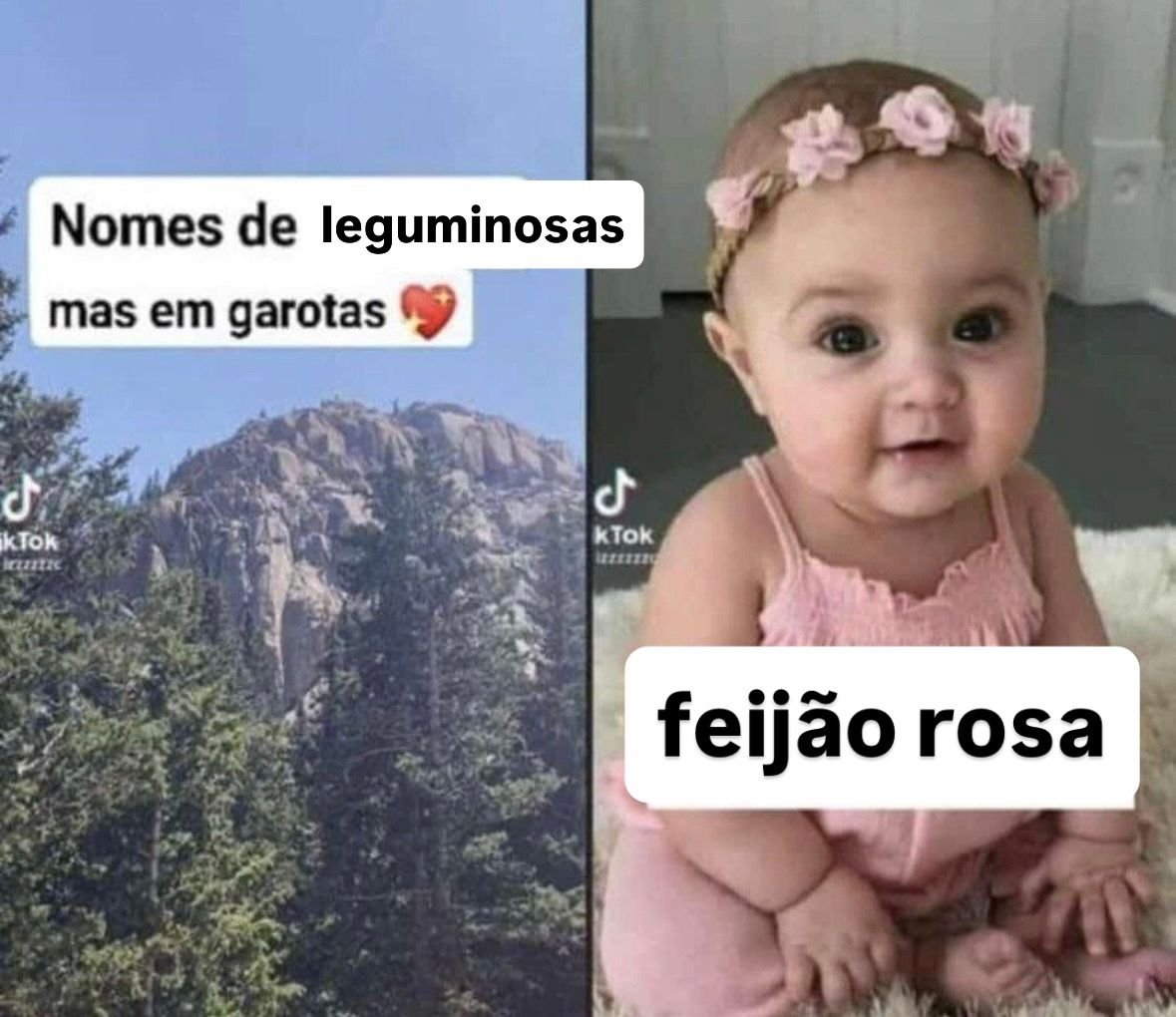 1mpersonat0r's tweet photo. A Gaga assim escolhendo o nome da filha https://t.co/5YtFbvQF68