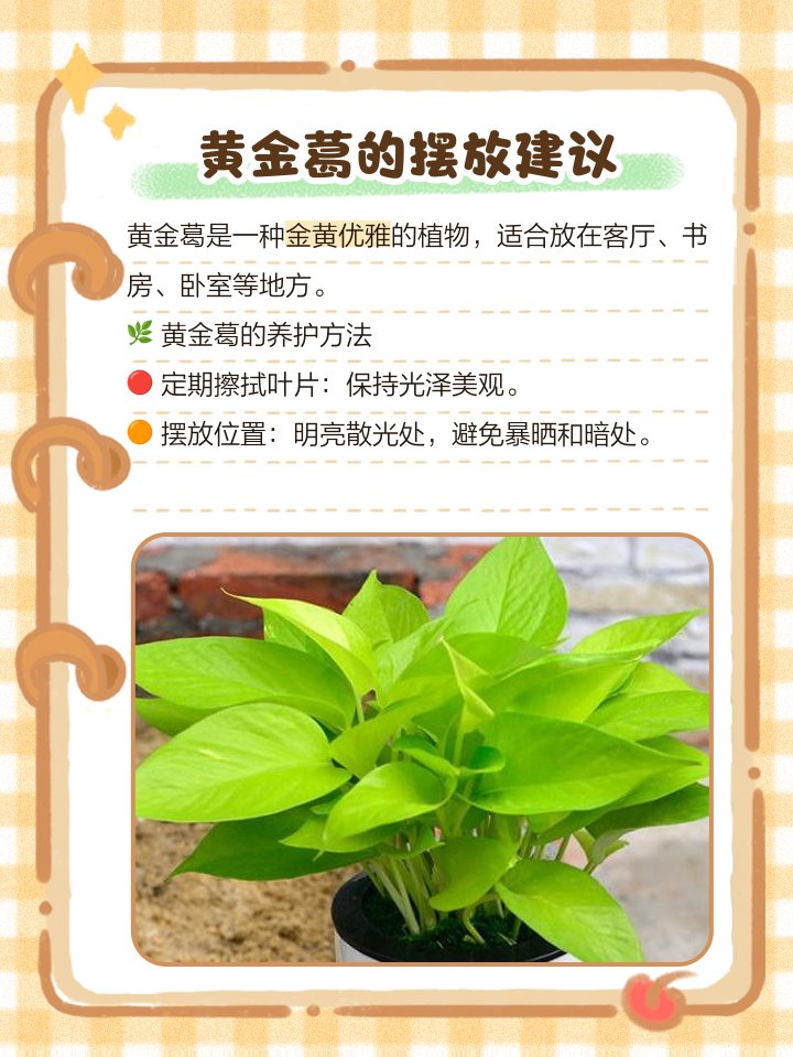 AndrAE_'s tweet photo. Keep your pothos happy with bright indirect light and weekly watering – it’ll grow lush and purify your air in no time! https://t.co/C19vVssg9I