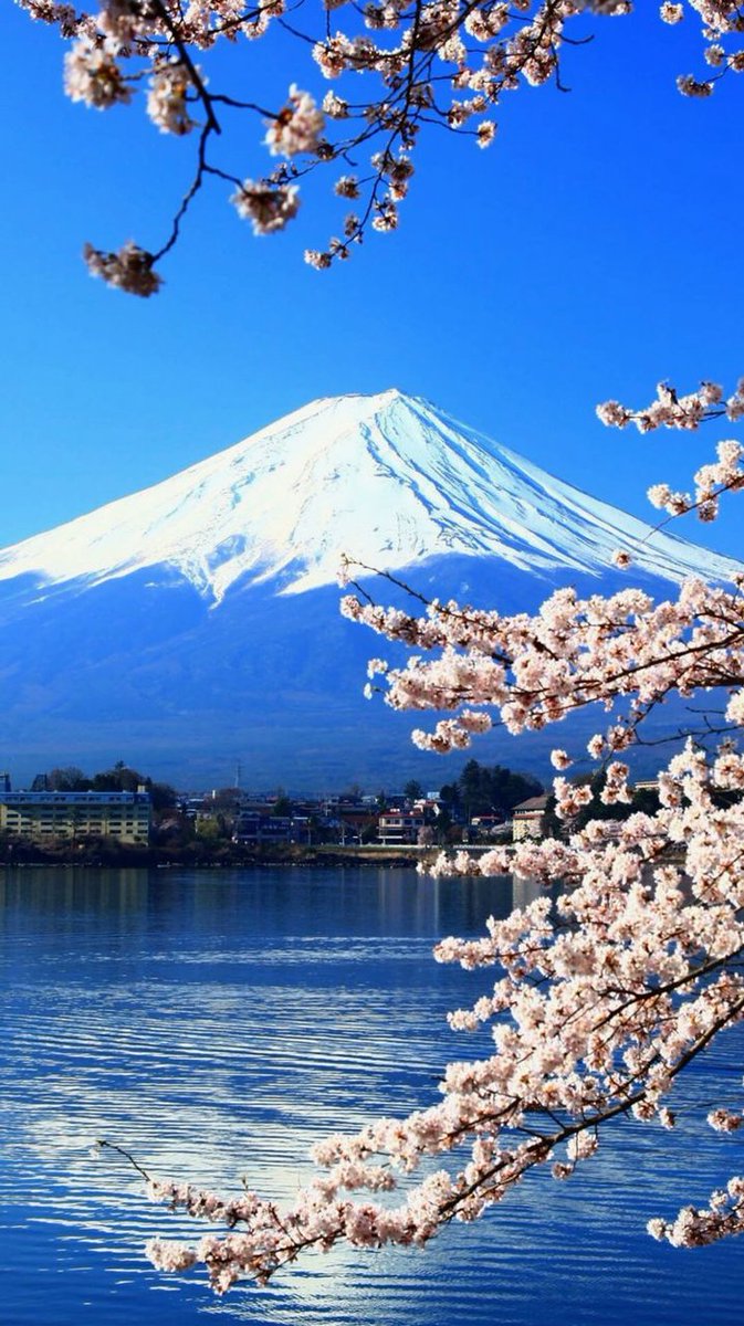 ugiacar's tweet photo. 人に説明することで学びが深まる。
友達に教える時は、自分の言葉で解説してみよう。大切なのは、相手を理解させること。一緒に成長しよう。 https://t.co/YIvZqrhbLF