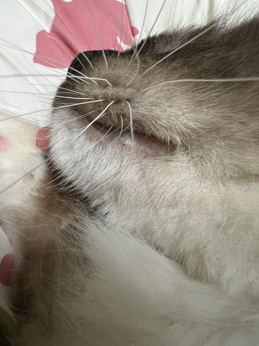 fraco245's tweet photo. この
いま
何時だと
思って https://t.co/NNVSF9wUak