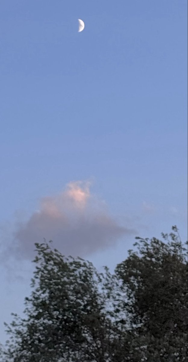 GreenEyedLade's tweet photo. #moon #clouds https://t.co/xuxnIi8Fm0