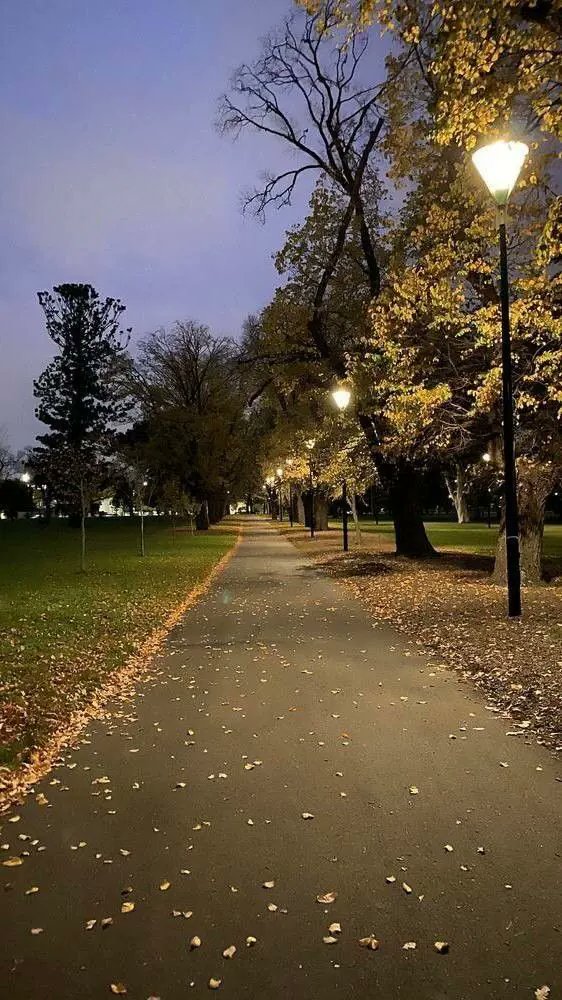 anacondz's tweet photo. I stopped worrying about things I couldn't control and focused on what I could actually do today. It felt freeing. 😌🌿 https://t.co/oannjoU1jn