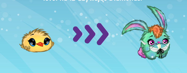 N0m0rii's tweet photo. quackity mentioned czy cos?? chcialam miec slodka kaczuszke a się w królika zamienia przypadek? nie sądze https://t.co/p96Qlg6DAi