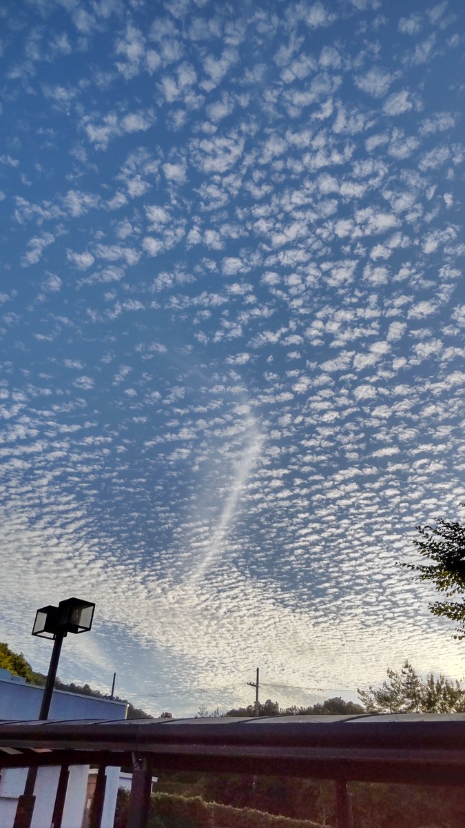 55cbrider's tweet photo. もう、秋の空 https://t.co/mlxgICwjX7