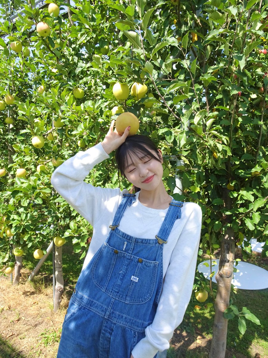 JONAGOLD_0323's tweet photo. みんなおはよ🥱
いよいよ始まりますね…🍎

本日��〜、↓
10:00~オープニング
14:00~ ジョナゴールドステージ
16:30くらいにはPARK STAGEの近くにいてくれると嬉しいです🤭

事故なく、怪我なく2日間終えましょう！
楽しむぞー！えいえいおー！
#RMF2026 

(手に持っているのは梨です↓笑) https://t.co/1yA4Co6rnp