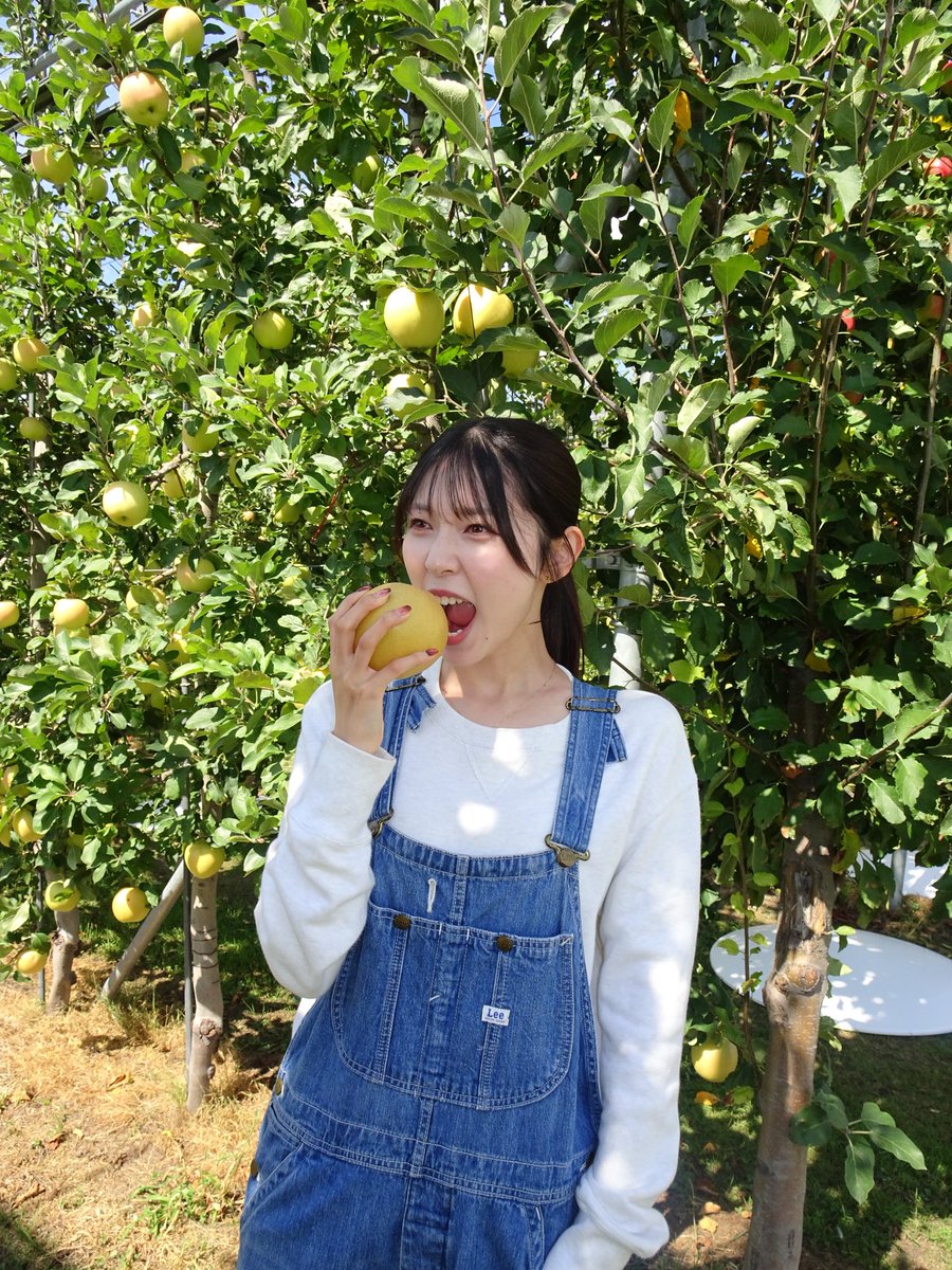 JONAGOLD_0323's tweet photo. みんなおはよ🥱
いよいよ始まりますね…🍎

本日��〜、↓
10:00~オープニング
14:00~ ジョナゴールドステージ
16:30くらいにはPARK STAGEの近くにいてくれると嬉しいです🤭

事故なく、怪我なく2日間終えましょう！
楽しむぞー！えいえいおー！
#RMF2026 

(手に持っているのは梨です↓笑) https://t.co/1yA4Co6rnp