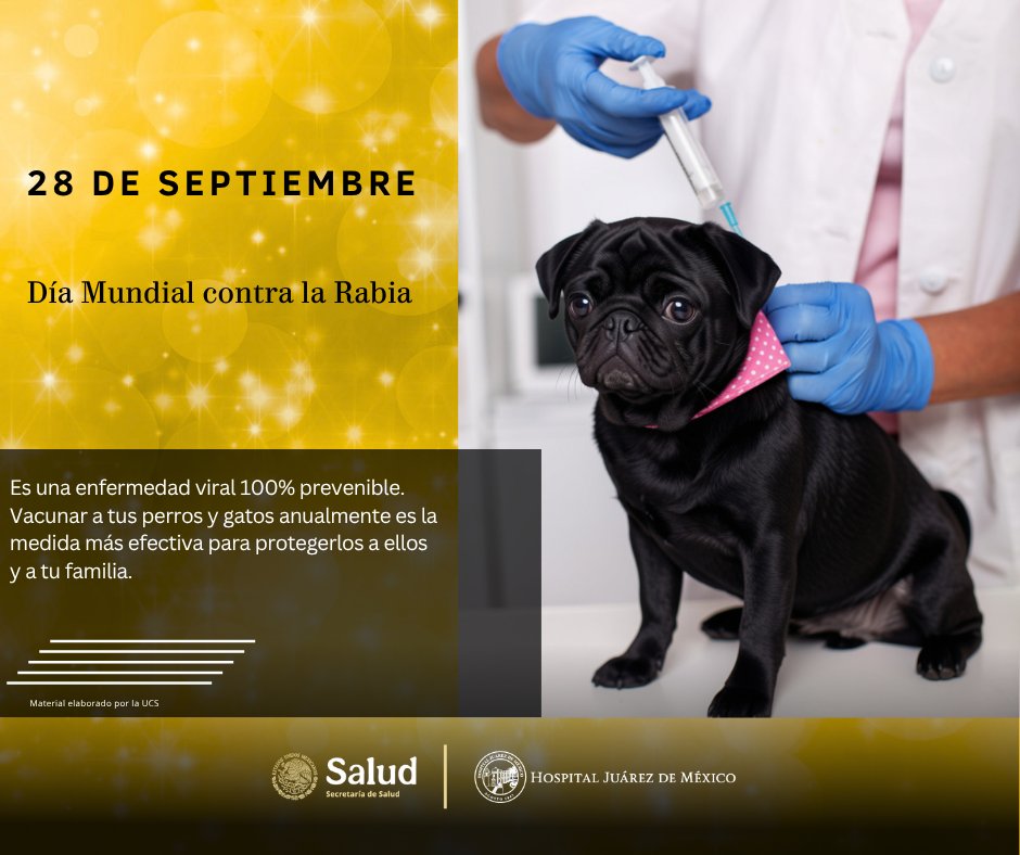 HospitalJuarezM's tweet photo. Día mundial contra la Rabia
Es una enfermedad viral 100% prevenible. Vacunar a tus perros y gatos anualmente es la medida más efectiva para protegerlos a ellos y a tu familia. https://t.co/cDg0Q15sCt