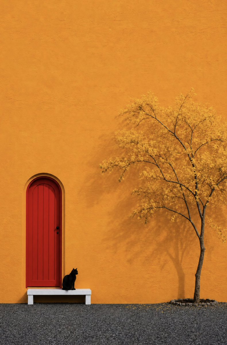 aseelswaid9's tweet photo. The combination of desert, sea, tree and architecture

©️ Aseel Swaid https://t.co/hQEglesgy7