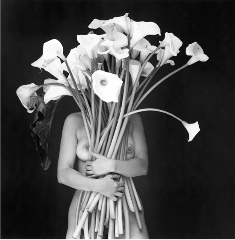 zarandillo's tweet photo. Flor Garduño
Abrazo de luz (México, 2000). https://t.co/njhM0DNCcN