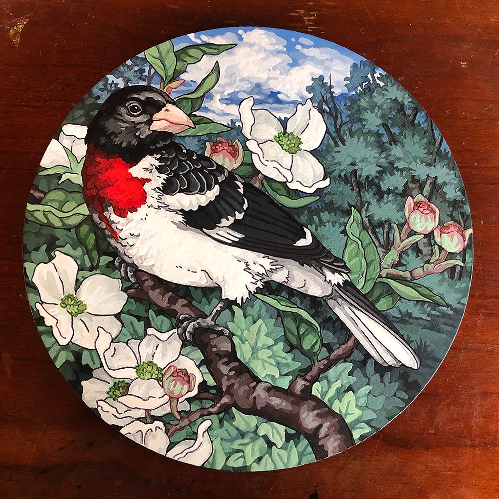 libberkib's tweet photo. Rose-Breasted Grosbeak (Commission) 🌹🤍🌿
Gouache and Ballpoint Pen on 8 inch Wood Panel
Message for Commission Info!

#arttwt #birdtwt #grosbeak #birding #naturetwt https://t.co/wg6mvL13Cn