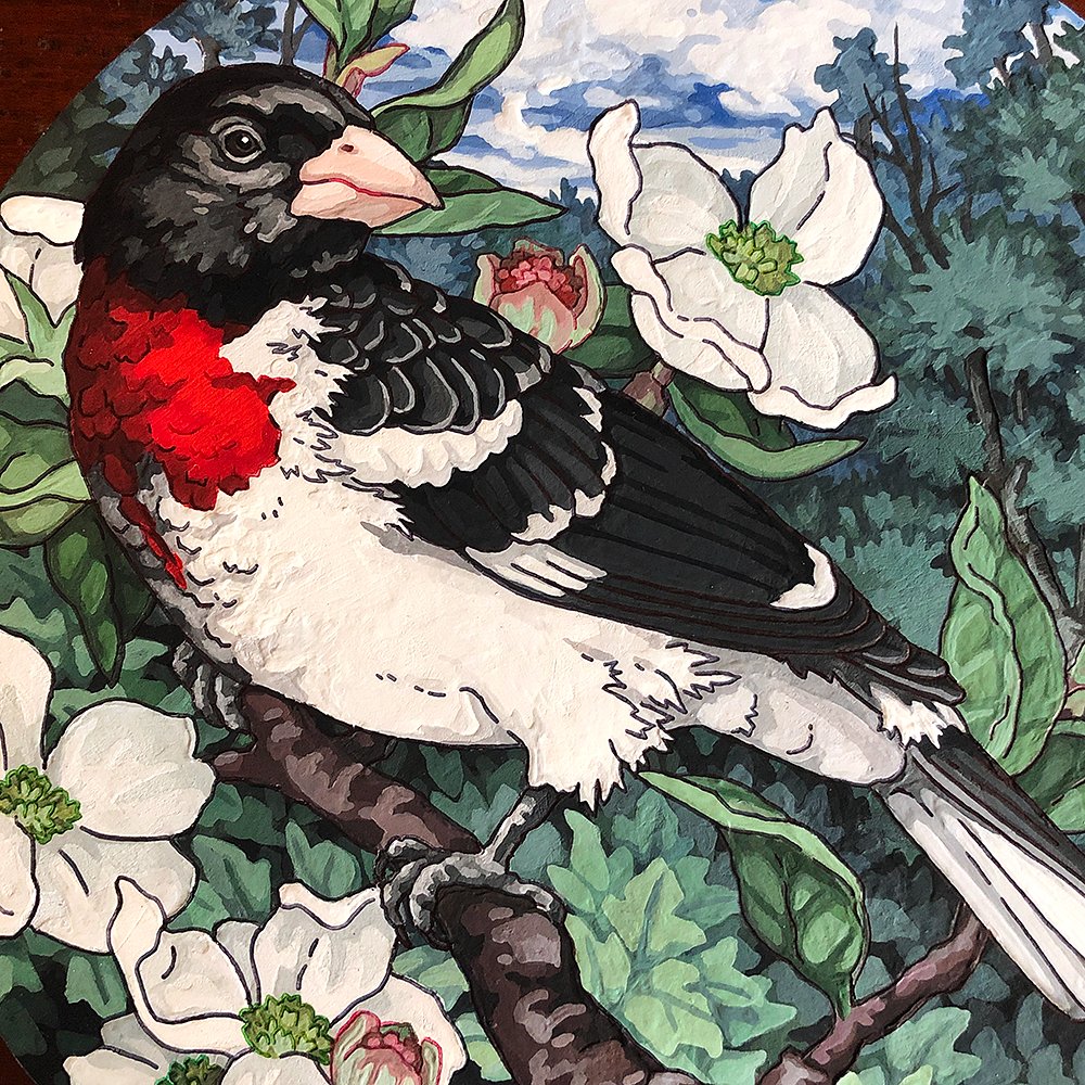 libberkib's tweet photo. Rose-Breasted Grosbeak (Commission) 🌹🤍🌿
Gouache and Ballpoint Pen on 8 inch Wood Panel
Message for Commission Info!

#arttwt #birdtwt #grosbeak #birding #naturetwt https://t.co/wg6mvL13Cn