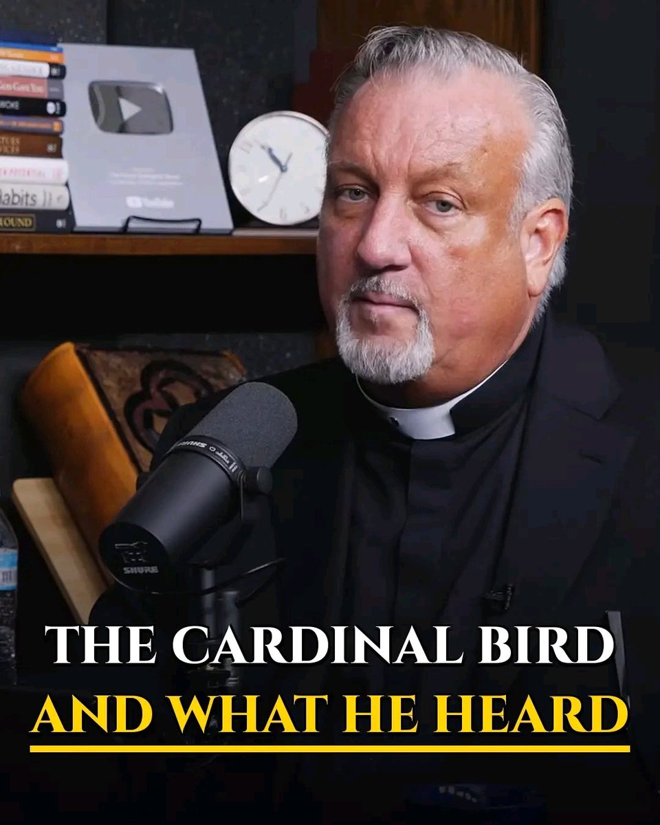 UcheMaryOkoli's tweet photo. Fr. Dan Reehil, an exorcist, was walking back from the beach on the last day of a retreat in Florida.

He had one idle thought: I didn't see a single blue jay or cardinal all week. Maybe it's too hot for them down here.

"AS I'M HAVING THE THOUGHT, SOMETHING COMES UP FROM BEHIND ME AND SMACKS ME IN THE HEAD."

A cardinal. It landed on a branch six feet in front of him, right next to a blue jay, the two of them touching. Two birds that never get along.

He asked what it was doing. And he says he heard an answer he has never forgotten:

"DON'T EVER FORGET THAT I AM SO CLOSE TO YOU. THAT I CAN MANIFEST WHAT YOU'RE THINKING BEFORE YOU COMPLETE THE THOUGHT."

"IT'S THE ONLY THING I REMEMBER FROM THE RETREAT."

And on the days he feels completely alone, he holds on to this:

"JUST BECAUSE WE CAN'T FEEL HIM DOESN'T MEAN HE'S NOT THERE."

Tonight, before you finish your next thought, say:

"Lord, You are closer than I think. Don't let me forget it. Amen."

Share this with someone who feels alone tonight. 👇 One word if you believe He is close: NEAR.

— Father Dan Reehil community