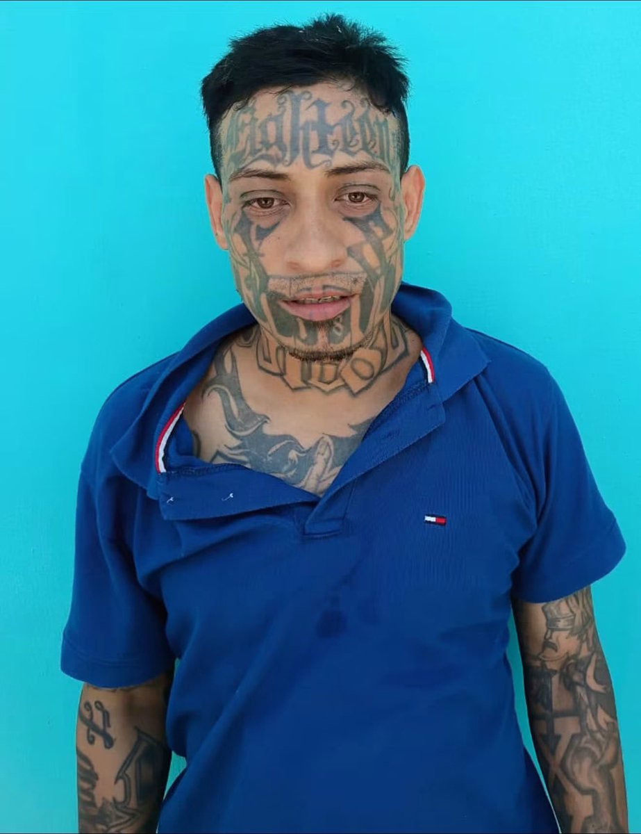 LaHuellaSV's tweet photo. 🚨 CAPTURAN EN MÉXICO A ALIAS “EL MUERTO”, UNO DE LOS 100 MÁS BUSCADOS DE EL SALVADOR

El ministro de Seguridad, Gustavo @Vi11atoro, informó sobre la captura en México de José Erwin Wilberto Ventura Cerón, alias “El Muerto”, señalado como homeboy de la pandilla 18 Revolucionarios, con función de gatillero y parte de la lista de los 100 más buscados de El Salvador.

Según el funcionario, la detención fue posible gracias al trabajo coordinado entre la Policía Nacional Civil y las autoridades mexicanas, luego de que el presunto pandillero huyera hacia ese país para evitar a la justicia salvadoreña.

De acuerdo con Villatoro, Ventura Cerón tiene antecedentes por homicidio y será trasladado a El Salvador para enfrentar los procesos judiciales correspondientes por los delitos que se le atribuyen.