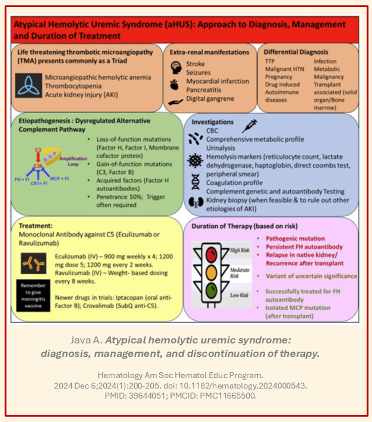 aHUS24Sept's tweet photo. 🔬 Diagnosing #aHUS remains a clinical challenge.  Clinicians &amp; researchers: Help others navigate complex aHUS diagnosis &amp; care by sharing your work/insights with colleagues w/#aHUS24Sept. An expert review from @anuja_java on this complex #raredisease:
https://t.co/lk7lPAxTxC https://t.co/XlbcWA97gk