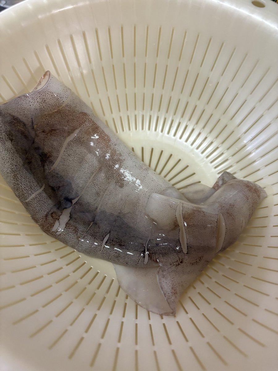 VELhitn's tweet photo. 突如🦑をいただいて、よくわからんなりにこの状態にはできた！ https://t.co/x7EHmcz9AQ