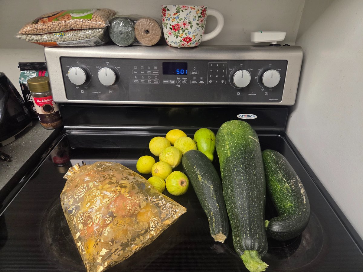 ERGardenerChef's tweet photo. It's weekend! So, I have to cook extra since, Albert (@albert_riopel) & I (@EarlaRiopel) will be at our Point Roberts, WA USA 🇺🇸 for the weekend doing yardwork, including gardening for me & shed/workshop for Albert. 

I think he's going to finish the roof shingles this time, and put more shelves for his Amateur Radio 📻 hobby!

Anyway, here's what I cooked tonight: 

1) 🍲Porkchops🥩 with mushroom soup & veggies, & rice 🍚as side dish. 

2) 🍛Cod fish 🐟 with mushroom soup & veggies, & rice as side dish.

Instructions: 

1) For Porkchops 🥩.

- Fry porkchops in an olive oil, until it's 80% fully-cooked.

- Then, add other herbs 🌿 & spices (parsley, oregano, black, salt, pepper, onion & garlic powdered).

- Add few spoons of soya sauce to taste.

- Then add cut-up mixed veggies. 

- Then, pour a tin of mushroom soup. Mix it with the rest of the ingredients.

- Taste it, add salt or pepper or both, if needed. 

- Serve the Porkchops & mixed veggies with rice or pasta or mashed potatoes as side dish.

2) For Cod Fish 🐟. 

-Fry Cod Fish with olive oil until it's 80% fully-cooked. Then, put aside the fish on a platter or plate.

- Then, cut some fresh garlic, onions, peper, and other fresh herbs 🌿 like parsley. 
Or
- Add sprinkles of oregano, black pepper, salt, garlic & onion powdered.

- A few drops of soya sauce to taste. 

- Cut some mixed veggies. You can use any fresh & frozen veggies you like. 

- Pour a tin of mushroom soup or coconut milk.

- Once the veggies are 80% fully-cooked, add the cod fish on top of the veggies. 

- Try not to stir the cod fish with the veggies, it can get mashed if you're not careful. 

- Better to put the cod on top of the mixed veggies, cook it for another 15 minutes; let the cod simmer. Make sure to turn it over, so both sides are equally cooked.

- Taste it, add salt or soya sauce or pepper or both, if needed.

Serve Cod with Mixed Veggies with rice 🍚,  mashed potatoes, or boiled pasta. 

Enjoy!

Fun fact: 

I used some fresh veggies harvested from our gardens in Lantzville 🇨🇦property & frozen ones, harvested from our Point Roberts 🇺🇲 property. 

Also, my eldest daughter brought home some zucchinis last night from her boyfriend's  place; grown by his mom, so I added that too. Thanks.🙂

I have a few photos 📸 for you. 

Until next cooking.