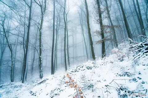 EugeneCruzag's tweet photo. niothing extravagantin the back of my mind
t built quietly
ihere is another house
 have never felt at home https://t.co/65W5AJKLiU