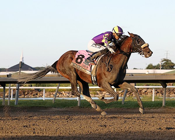 BloodHorse's tweet photo. .@SpendthriftFarm will add grade 1 winners Baeza and Further Ado to its stallion roster for the 2027 breeding season. Read more: https://t.co/dROyCrWQU9 https://t.co/xjnLqtVWwS