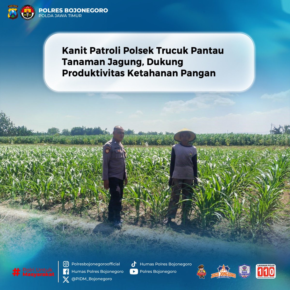 EkoDedyZld's tweet photo. Polsek Trucuk Polres Bojonegoro terus mendukung program ketahanan pangan melalui monitoring perkembangan tanaman jagung di lahan binaan kelompok tani di Desa Tulungrejo, Kecamatan Trucuk, Kabupaten Bojonegoro. https://t.co/fyH2RzarYu