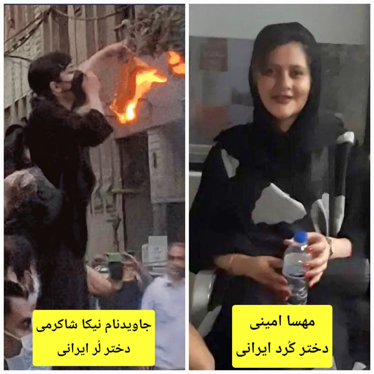 farshidbabaei18's tweet photo. هم مهسا امینی و هم جاویدنام نیکا شاکرمی به دست ج.ا کشته شدند، با این تفاوت که؛

مهسا در حال تفریح و سپری‌کردن تعطیلات بود و تا آخرین لحظه سعی داشت ثابت کند که قوانین ج.ا را رعایت کرده که کشته شد؛

در حالی‌که نیکا شجاعانه و تا آخرین لحظه در حال مبارزه بود که توسط ج.ا کشته شد. https://t.co/0pBUOpmpAH