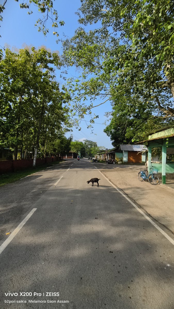 bitupon88900972's tweet photo. Good Morning
#destinationkhumtai
#cleankhumtai
#SwachhBharat
#swachhbharatabhiyan
#avoidplastic
#savenature
@Mrinal_MLA
@himantabiswa
@CMOfficeAssam
@Pijush_hazarika
@manabdeka
@borgohainSBG https://t.co/fWXTfT2qNB