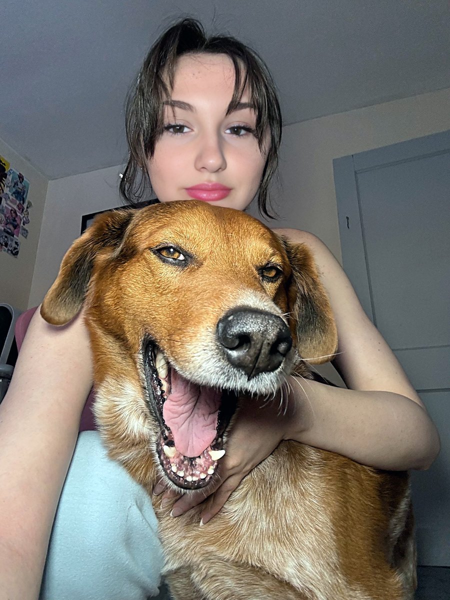 AnnieUnfilo6di's tweet photo. This Doggo Will Make Your Bad Days Disappear ,🐶💛 Subscribe &amp; Smile Daily On My Group Via The Link 👇👇👇👇

🔗 https://t.co/SFvxj8nv5m 💫

#dogknotting #dogknot #knotting
#k9girl #dogsex #knotty #zoophilia https://t.co/MBx9p4NKz0