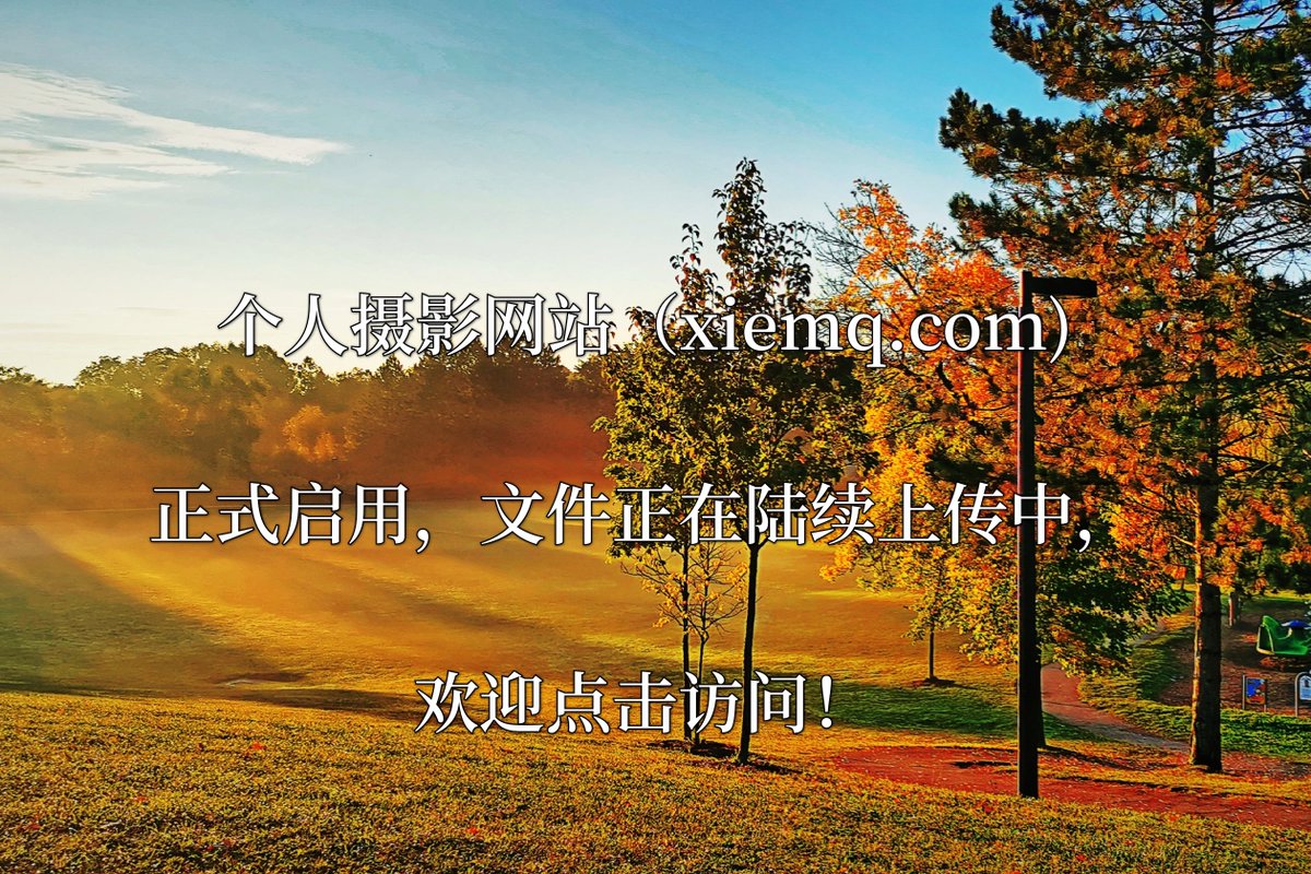 Xiemq888's tweet photo. 个人摄影网站（https://t.co/LEibjNVK8o)正式启用，文件正在陆续上传中，欢迎点击访问！ https://t.co/5Pd6cvk6ky