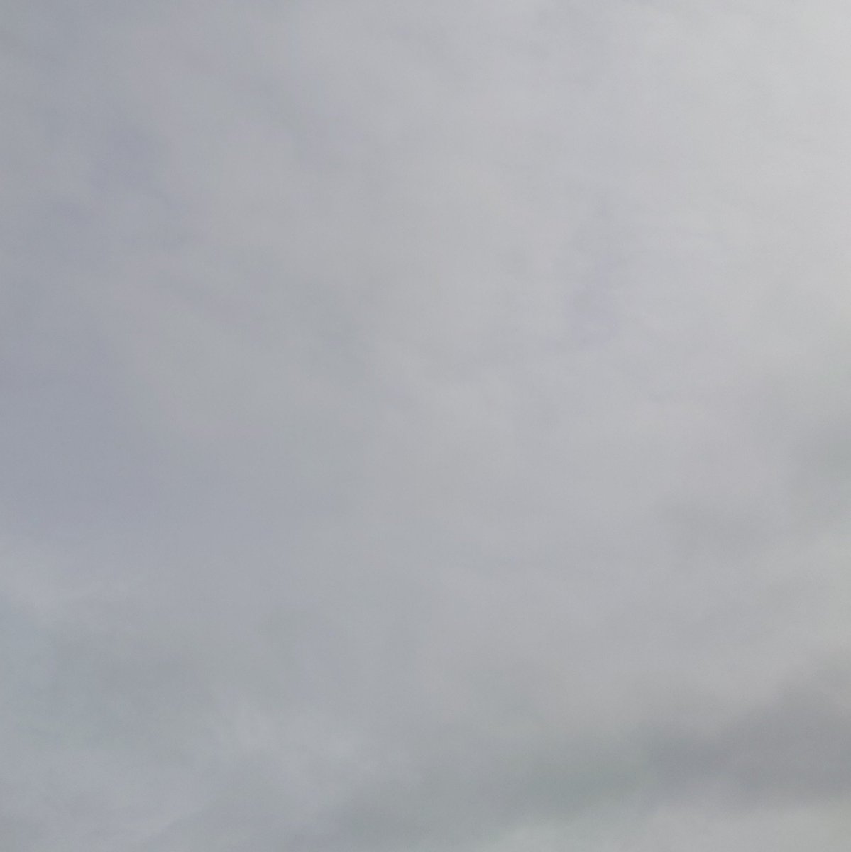 fujinomiya_base's tweet photo. こんにちは😊
少しづつ雲が増えてきている朝です☁

本日も9:00～営業しております🚙☕
手洗い洗車➡🈵
カフェのみのご利用️⭕️

台風の影響も懸念されますね🌀
シルバーウィークも安全第一で楽しく過ごしましょう🌈
本日もよろしくお願いします🍀
#企業公式が毎朝地元の天気を言い合う https://t.co/83JPFN4s0r